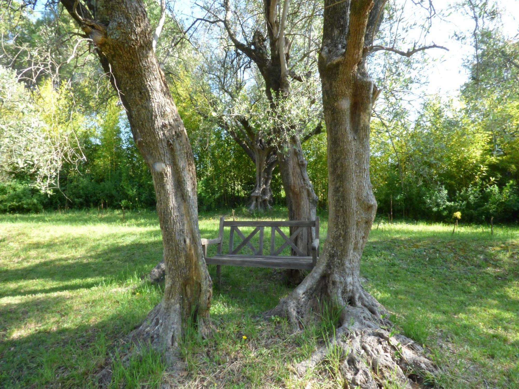 Apartment Cezanne With Heated Pool And Private Garden Chateauneuf-Grasse المظهر الخارجي الصورة
