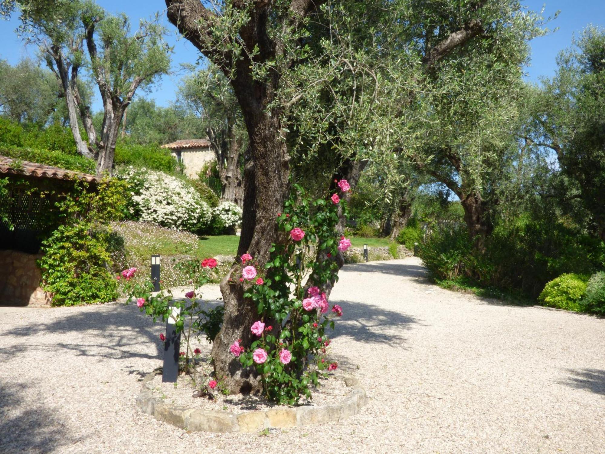 Apartment Cezanne With Heated Pool And Private Garden Chateauneuf-Grasse المظهر الخارجي الصورة