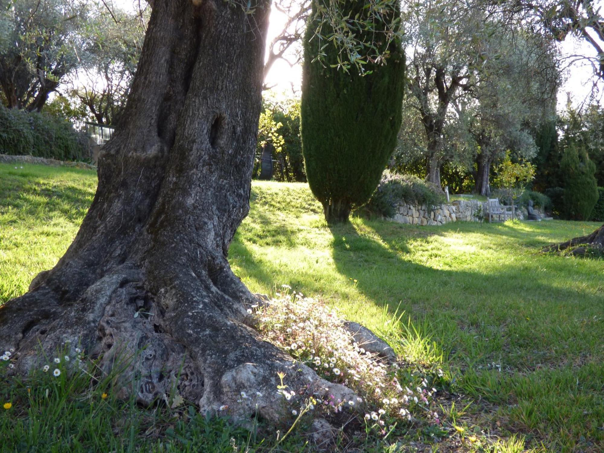 Apartment Cezanne With Heated Pool And Private Garden Chateauneuf-Grasse المظهر الخارجي الصورة